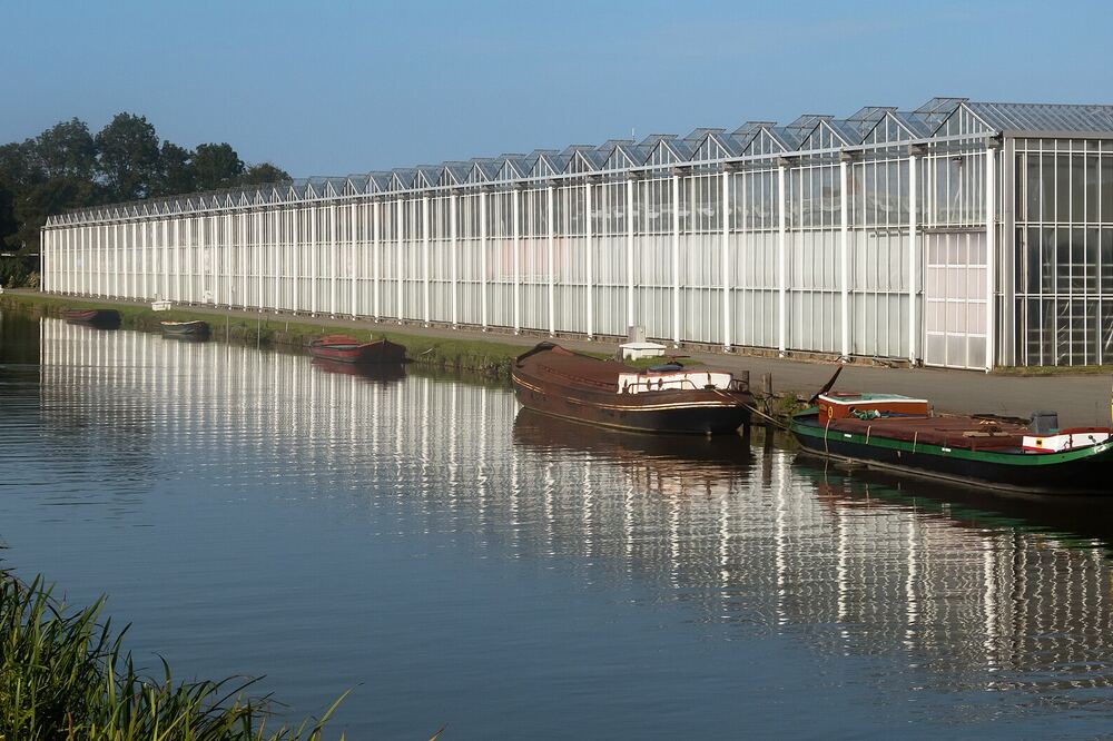 Glazen kassen weerspiegeld in de vaart aan de Wateringseweg bij Poeldijk