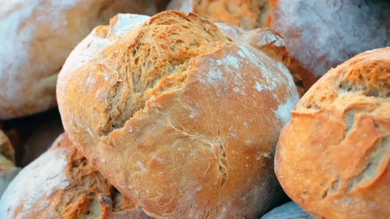 The Bakeyard (elke vrijdag open) — markt-eten in Westland