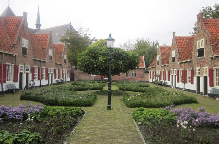 foto: druifkes / cc by sa 3.0 nl via wikimedia commons