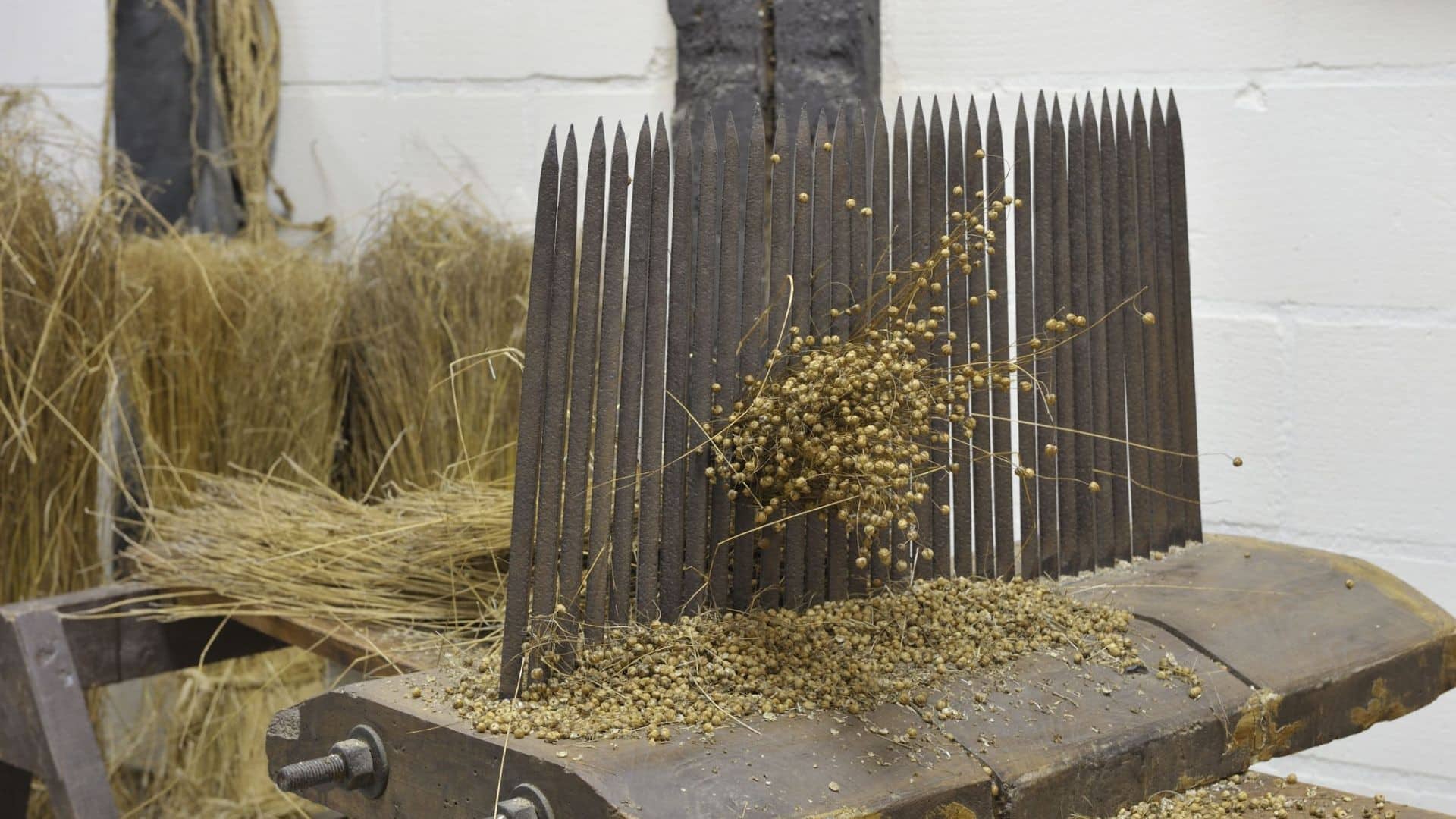 Expositie over vlasteelt en theebukkers in Museum de Timmerwerf — museum-expo in Westland
